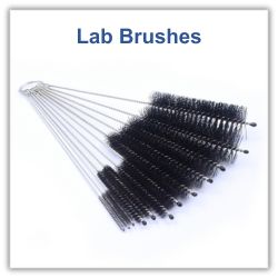 Lab Brushes.jpg